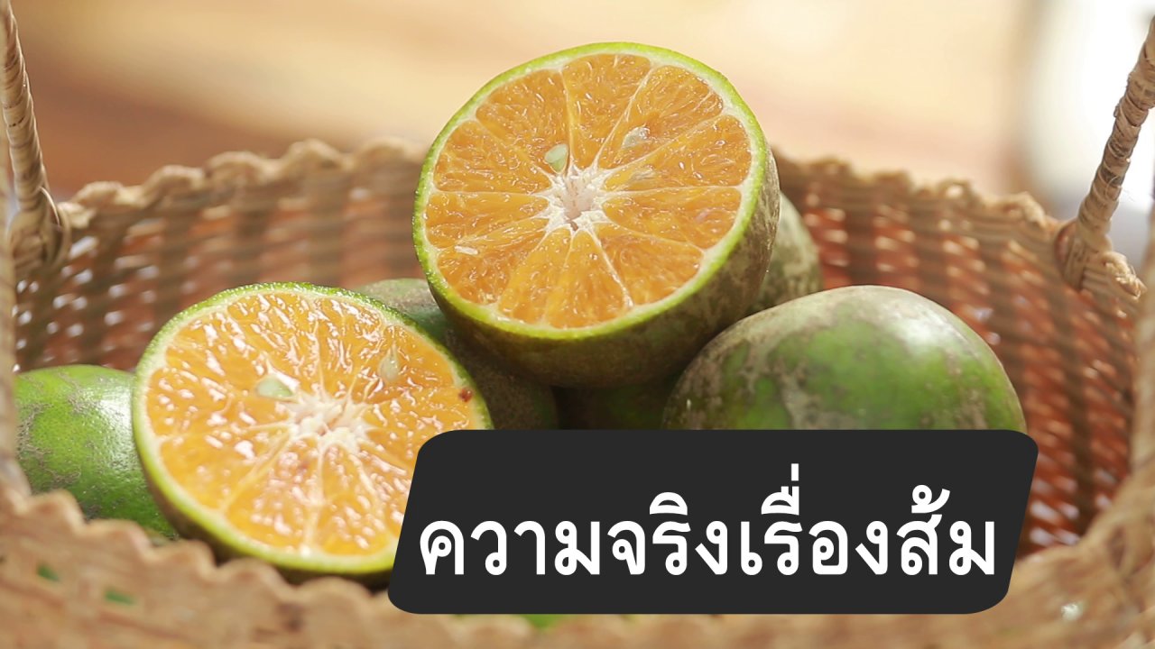 กินอยู่...คือ - สูตรลับออนไลน์ : ความจริงเรื่องส้ม