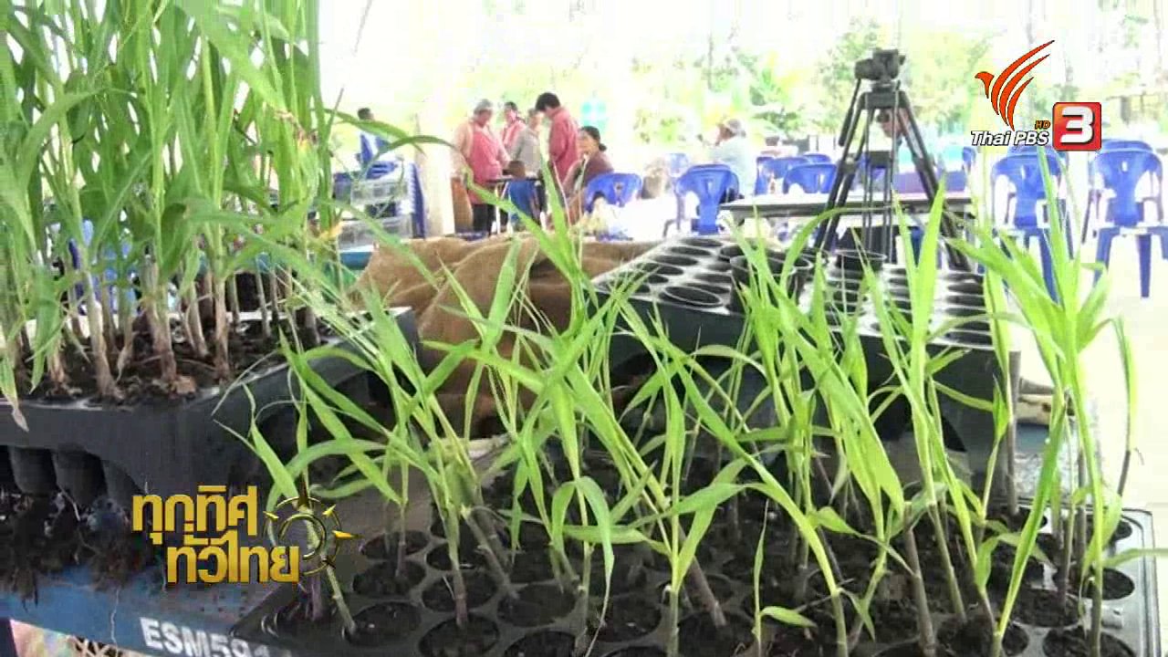 ทุกทิศทั่วไทย - เกษตรสระแก้วผลิตสารกำจัดโรคพืชใช้เอง