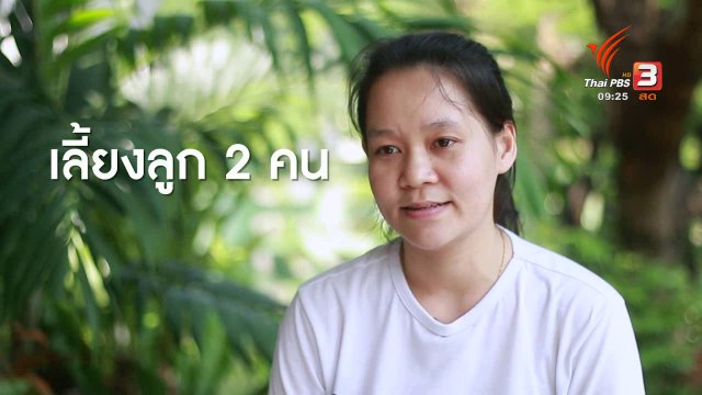 เก็บเบี้ยให้ถึงล้าน : อาชีพถนัดสร้างรายได้เสริม