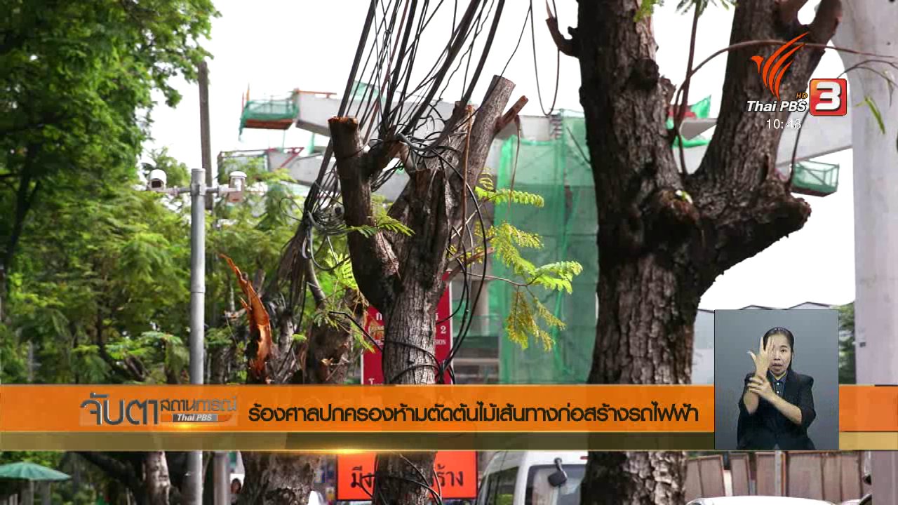 จับตาสถานการณ์ - ร้องศาลปกครองห้ามตัดต้นไม้เส้นทางก่อสร้างรถไฟฟ้า