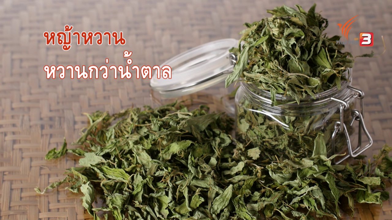 กินอยู่คือ - สูตรลับออนไลน์ : หญ้าหวาน สมุนไพรให้ความหวาน