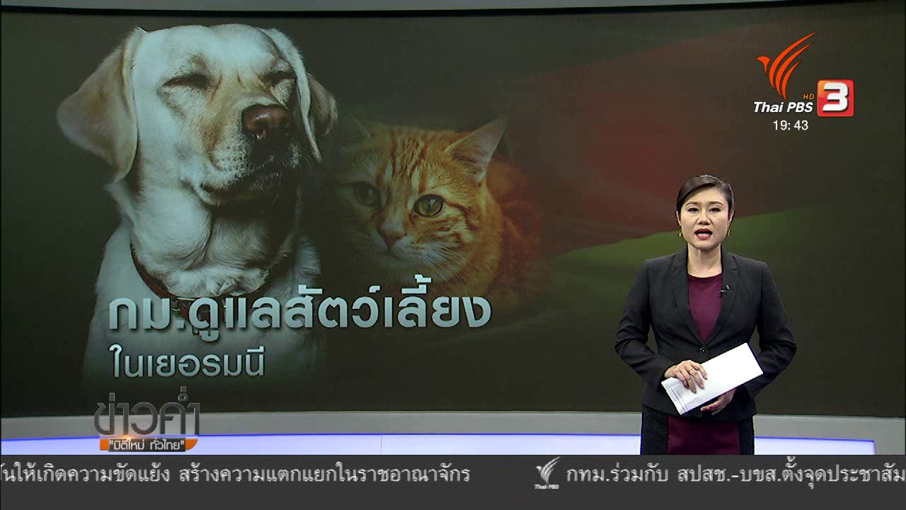 ข่าวค่ำ มิติใหม่ทั่วไทย - วิเคราะห์สถานการณ์ต่างประเทศ: กฎหมายสัตว์เลี้ยงเยอรมนี