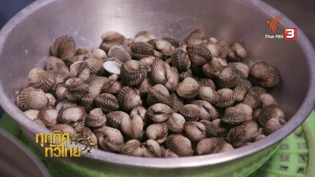 อาชีพทั่วไทย: เพาะเลี้ยงหอยแครงแบบกึ่งพัฒนาธรรมชาติ