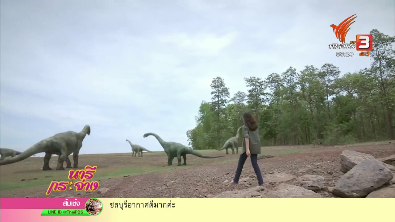 นารีกระจ่าง - นารีสนทนา : ชวนดูแอนิเมชันฯ "ไดโนเสาร์แดนอีสาน"