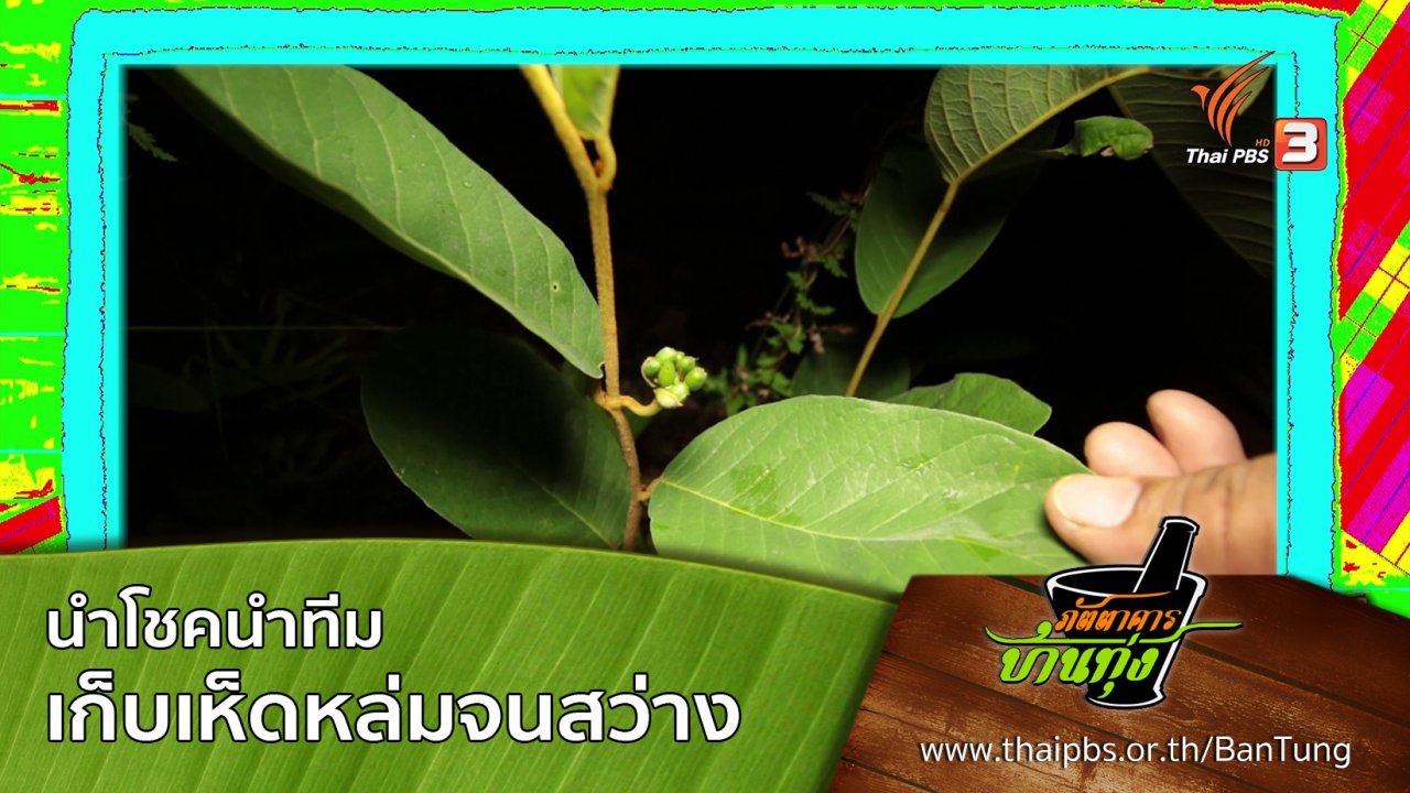 ภัตตาคารบ้านทุ่ง - นำโชคนำทีมเก็บเห็ดหล่มจนสว่าง