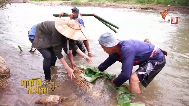 วิถีทั่วไทย : หาปลาโดยใช้ "ไซ"