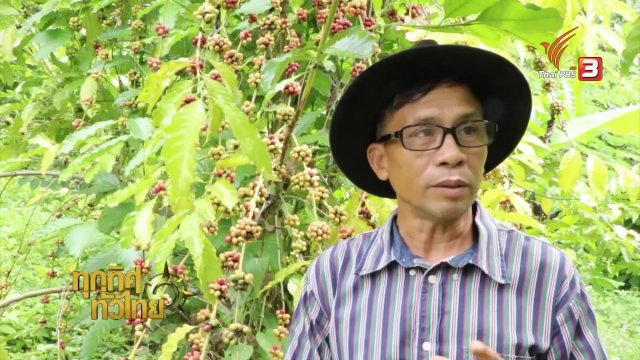 ชุมชนทั่วไทย : เทศกาลดอกกาแฟบาน จ.ราชบุรี