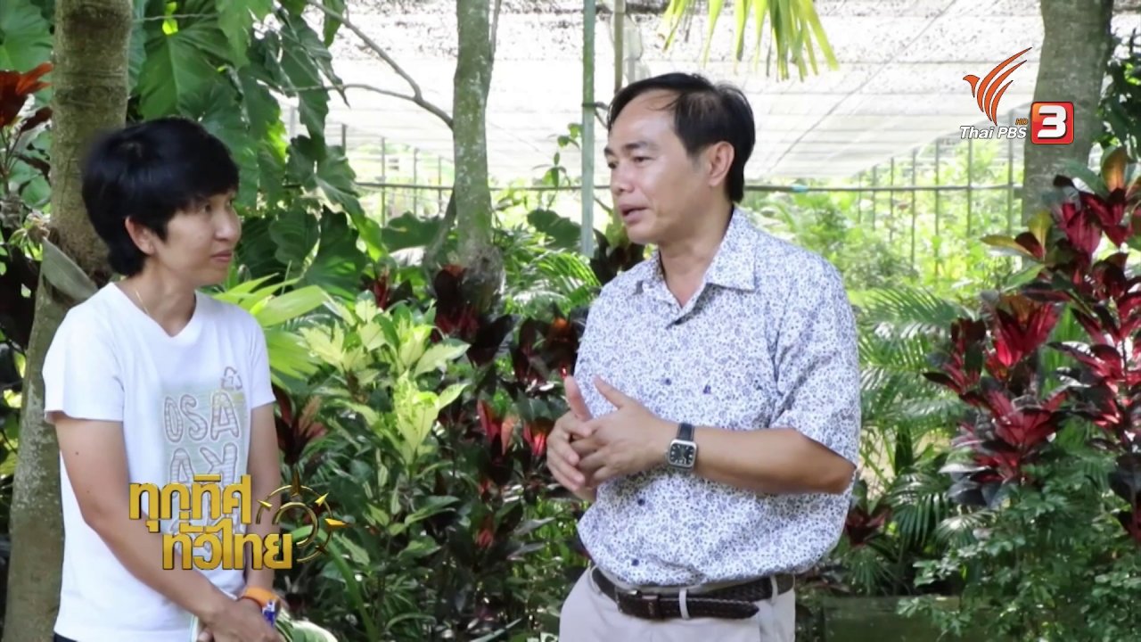 ทุกทิศทั่วไทย - ชุมชนทั่วไทย :การขยายพันธุ์กวาวเครือดำได้สำเร็จ