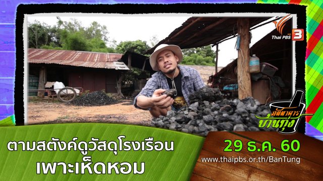 ตามสตังค์ดูวัสดุ-โรงเรือนเพาะเห็ดหอม