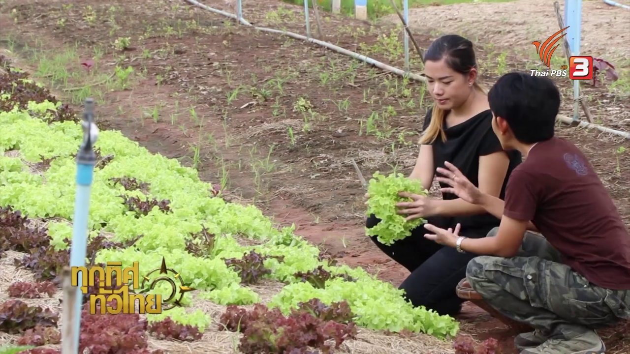 ทุกทิศทั่วไทย - วิถีทั่วไทย : แปลงเกษตรออร์แกนิก