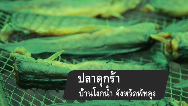 สูตรลับออนไลน์ : การทำปลาดุกร้า บ้านโงกน้ำ จังหวัดพัทลุง