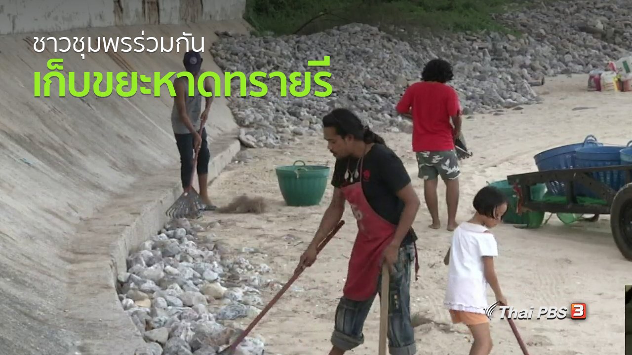 ทุกทิศทั่วไทย - ชุมชนทั่วไทย : ชาวชุมพรร่วมกันเก็บขยะหาดทรายรีทุกวันศุกร์