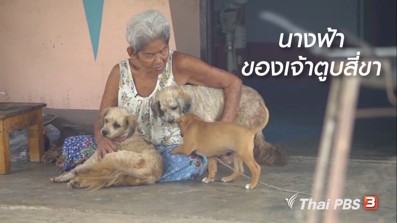 ลุยไม่รู้โรย สูงวัยดี๊ดี - สูงวัยไทยแลนด์ : นางฟ้าของเจ้าตูบสี่ขา