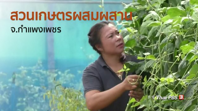 ชุมชนทั่วไทย : สวนเกษตรผสมผสาน จ.กำแพงเพชร