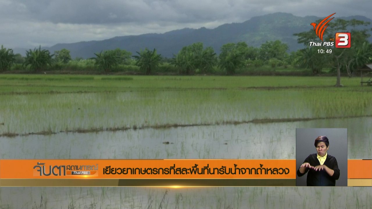 จับตาสถานการณ์ - เยียวยาเกษตรกรที่สละพื้นที่นารับน้ำจากถ้ำหลวง
