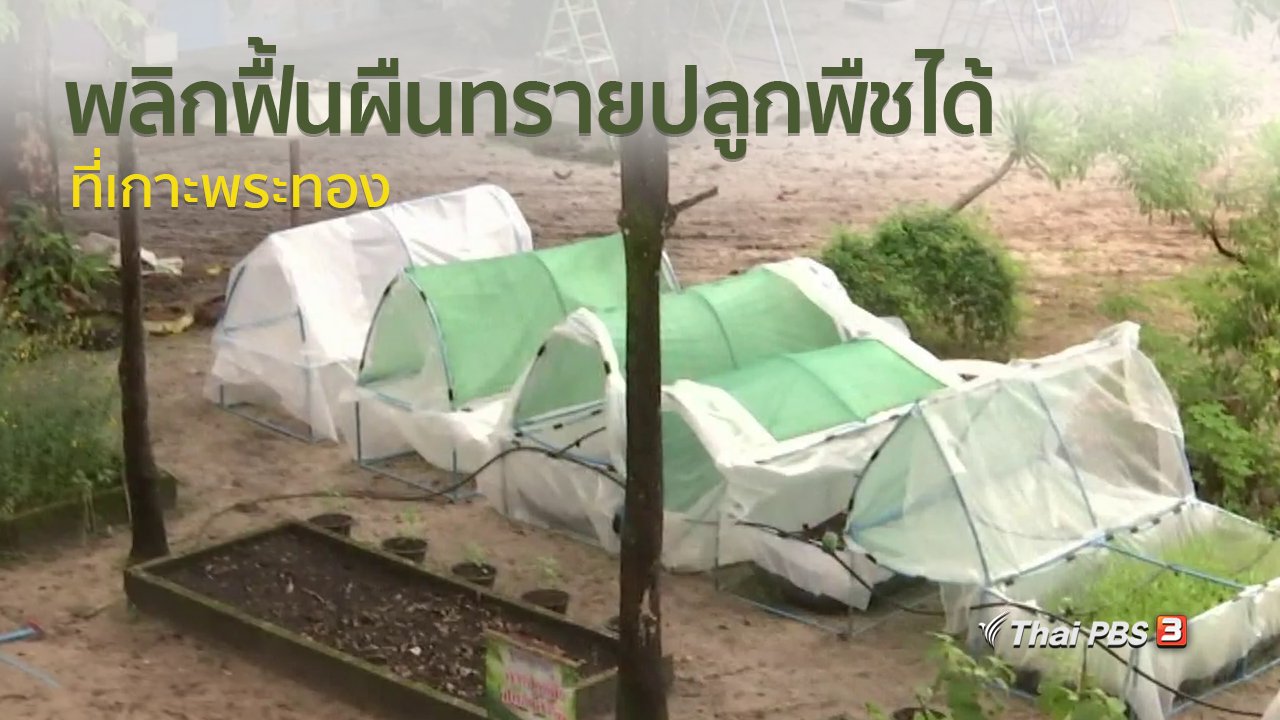 ทุกทิศทั่วไทย - วิถีทั่วไทย : พลิกฟื้นผืนทรายปลูกพืชได้ที่เกาะพระทอง