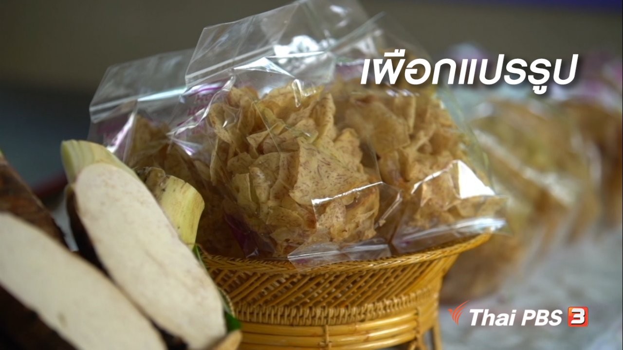 ลุยไม่รู้โรย สูงวัยดี๊ดี - สูงวัยใจเกินร้อย : เผือกแปรรูป