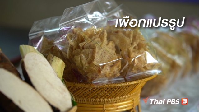 สูงวัยใจเกินร้อย : เผือกแปรรูป
