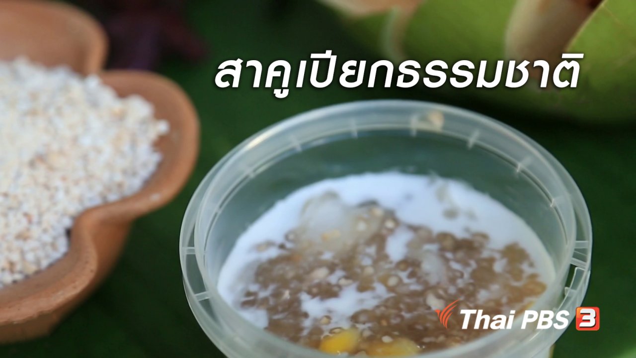 นารีกระจ่าง - ผู้หญิงผู้สร้าง : สาคูเปียกธรรมชาติ