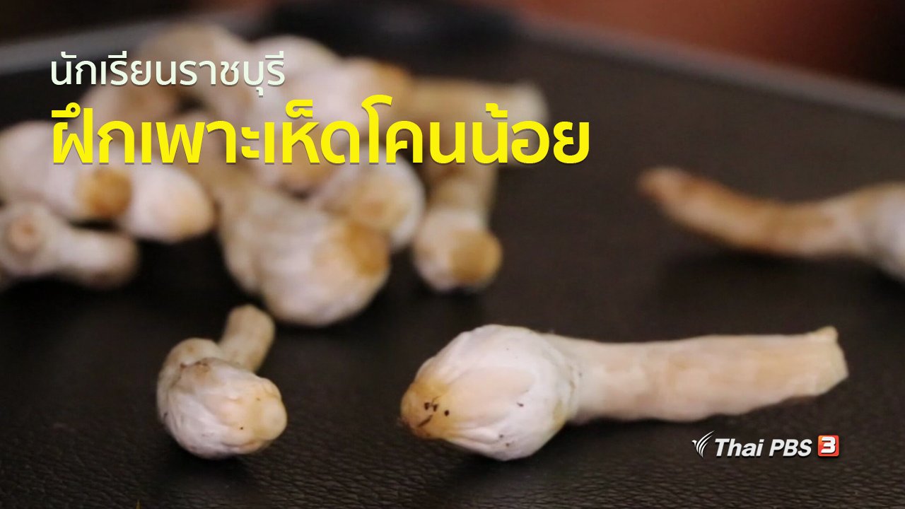 ทุกทิศทั่วไทย - ชุมชนทั่วไทย : นักเรียนราชบุรีฝึกเพาะเห็ดโคนน้อย
