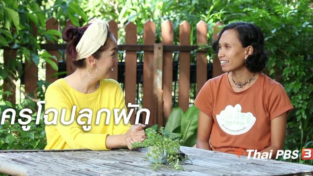 ผู้หญิงผู้สร้าง : ครูโฉปลูกผัก