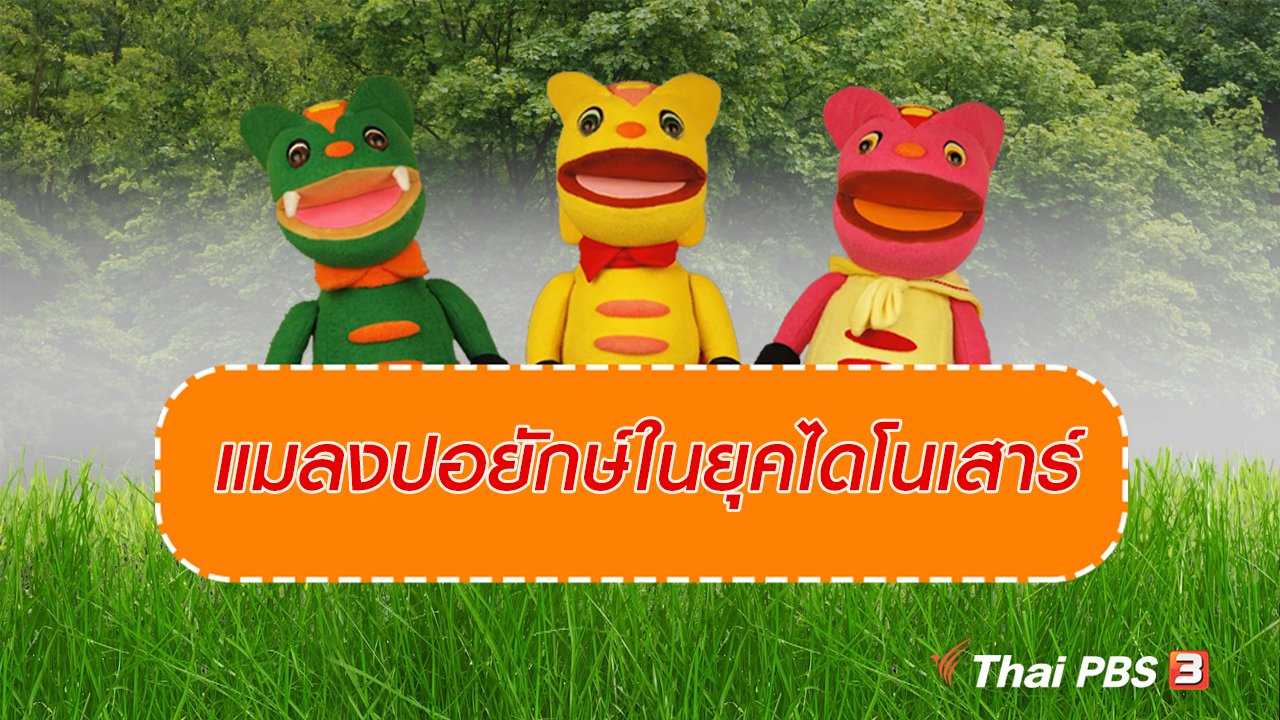 TataTitiToto ไดโนจอมป่วน - เกร็ดน่ารู้กับตาต้าตีตี้โตโต้ : แมลงปอยักษ์ในยุคไดโนเสาร์