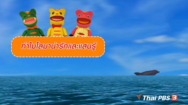 เกร็ดน่ารู้กับตาต้าตีตี้โตโต้ : ทำไมโลมาน่ารักและแสนรู้