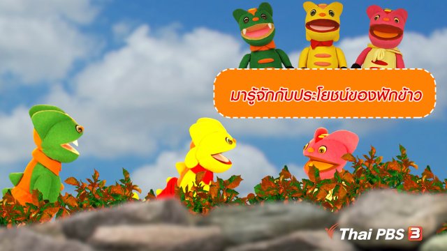 เกร็ดน่ารู้กับตาต้าตีตี้โตโต้ : มารู้จักกับประโยชน์ของฟักข้าว