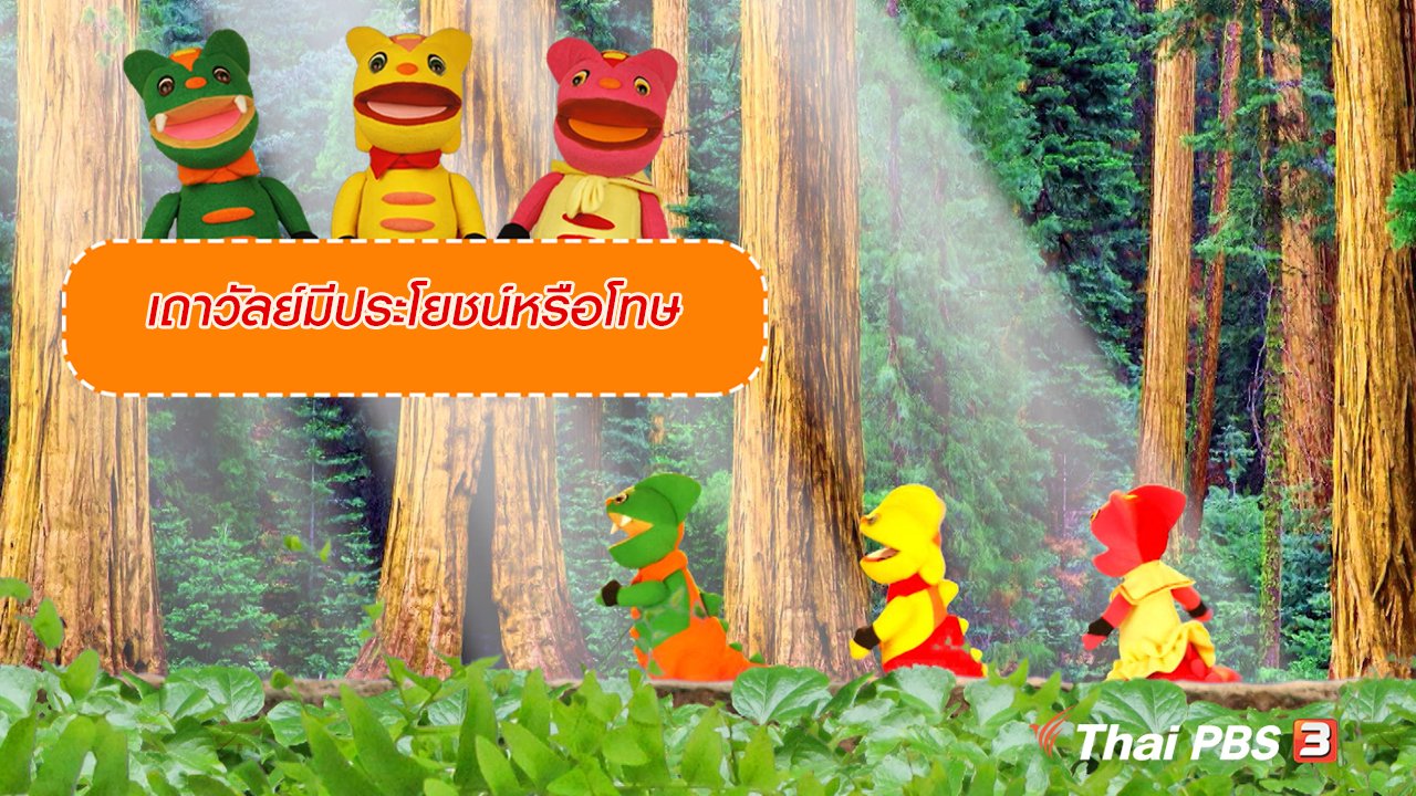 TataTitiToto ไดโนมหัศจรรย์ - เกร็ดน่ารู้กับตาต้าตีตี้โตโต้ : เถาวัลย์มีประโยชน์หรือโทษ