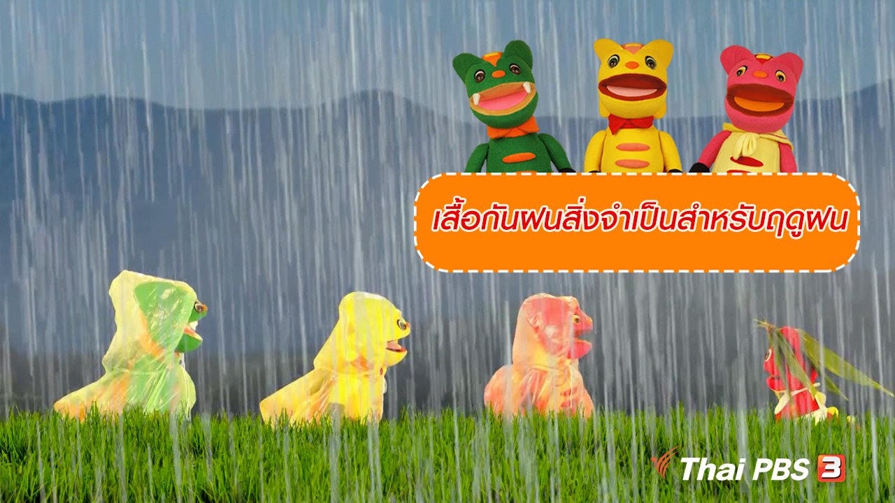 TataTitiToto ไดโนมหัศจรรย์ - เกร็ดน่ารู้กับตาต้าตีตี้โตโต้ : เสื้อกันฝนสิ่งจำเป็นสำหรับฤดูฝน