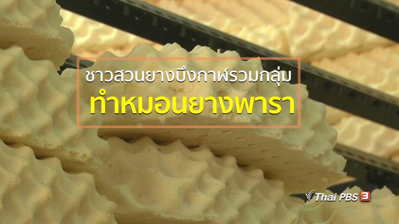 ทุกทิศทั่วไทย - อาชีพทั่วไทย : ชาวสวนยางบึงกาฬรวมกลุ่มทำหมอนยางพารา