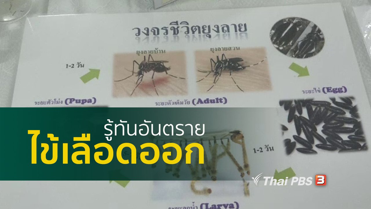 คนสู้โรค - รู้สู้โรค : รู้ให้ทันโรคไข้เลือดออก