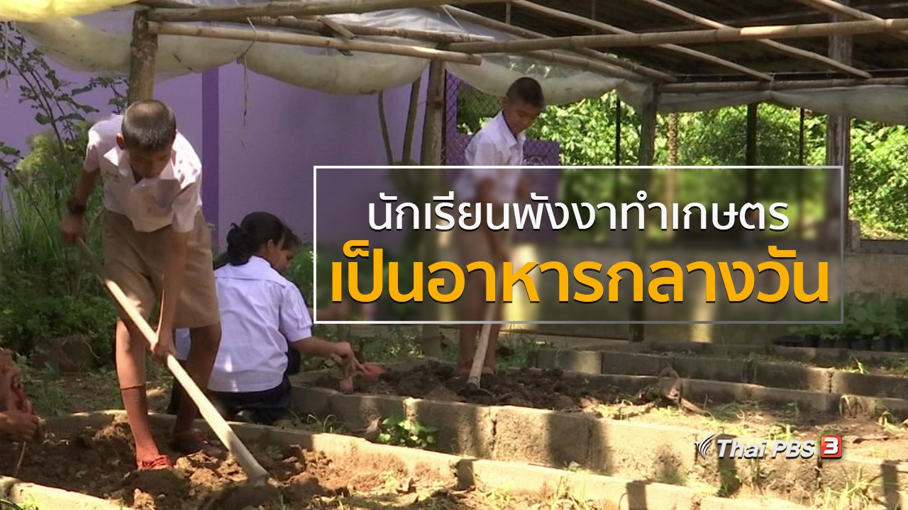 ทุกทิศทั่วไทย - วิถีทั่วไทย : นักเรียนพังงาทำเกษตรเป็นอาหารกลางวัน