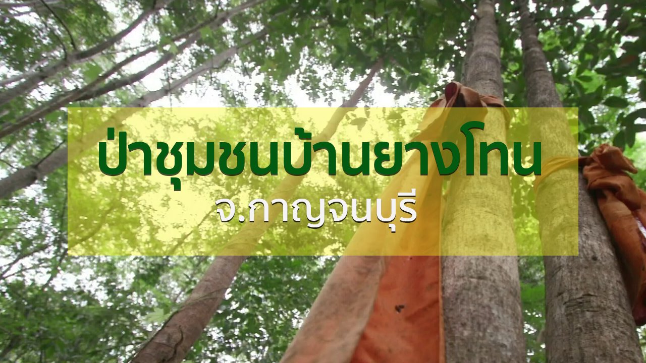 ทุกทิศทั่วไทย - วิถีทั่วไทย : เยือนป่าชุมชนบ้านยางโทน จ.กาญจนบุรี
