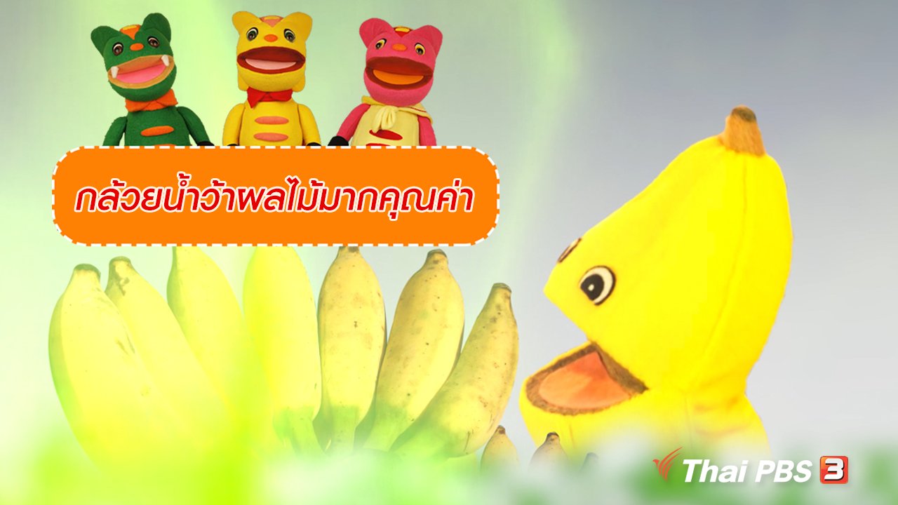 TataTitiToto ไดโนจอมป่วน - เกร็ดน่ารู้กับตาต้าตีตี้โตโต้ : กล้วยน้ำว้าผลไม้มากคุณค่า