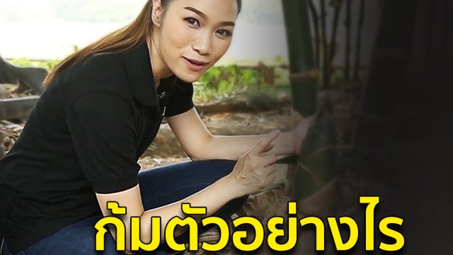 ก้มตัวอย่างไร...ไม่ให้ปวดหลัง