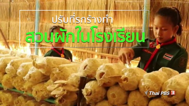 ชุมชนทั่วไทย : ปรับที่รกร้างทำสวนผักในโรงเรียน