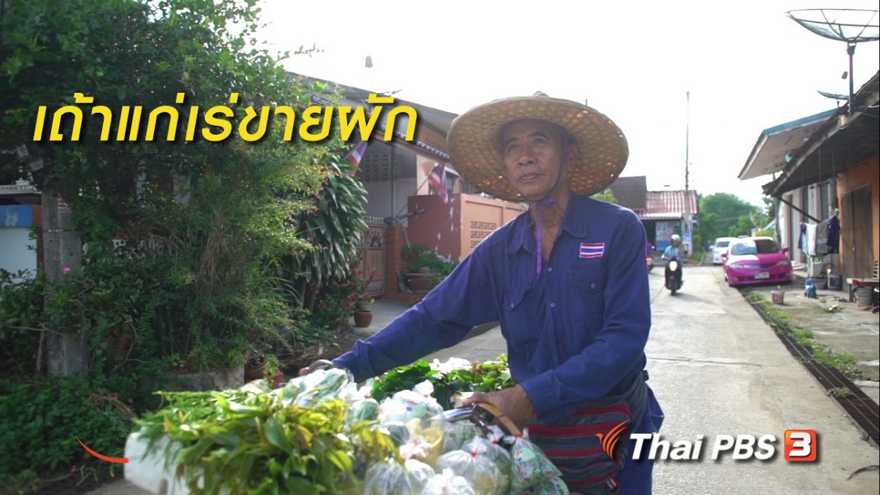 ลุยไม่รู้โรย สูงวัยดี๊ดี - สูงวัยไทยแลนด์ : เถ้าแก่เร่ขายผัก