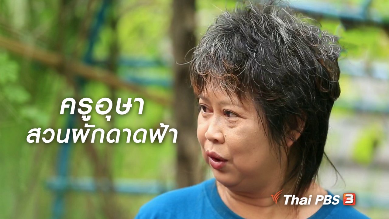 นารีกระจ่าง - ผู้หญิงผู้สร้าง : ครูอุษา สวนผักดาดฟ้า