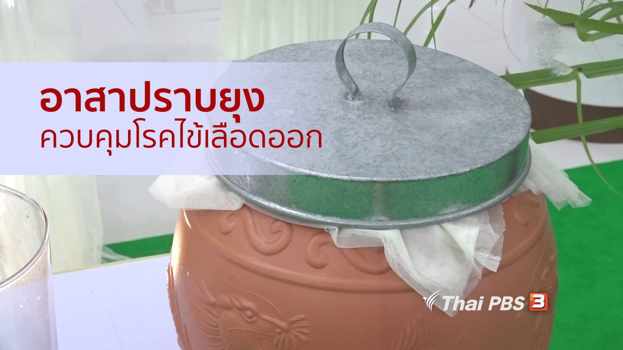 คนสู้โรค - รู้สู้โรค : อาสาปราบยุง ควบคุมโรคไข้เลือดออก