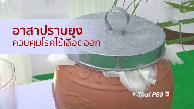 รู้สู้โรค : อาสาปราบยุง ควบคุมโรคไข้เลือดออก