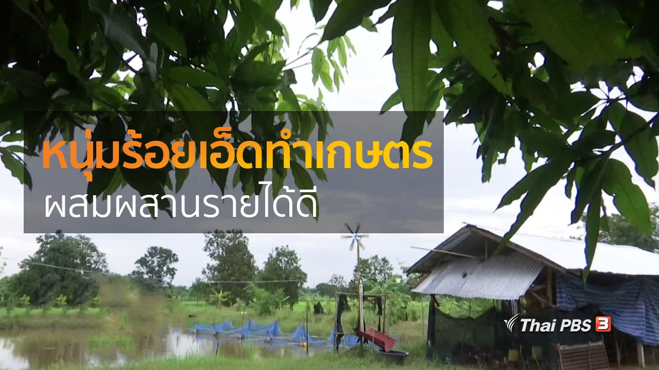 ทุกทิศทั่วไทย - อาชีพทั่วไทย : หนุ่มร้อยเอ็ดทำเกษตรผสมผสานรายได้ดี