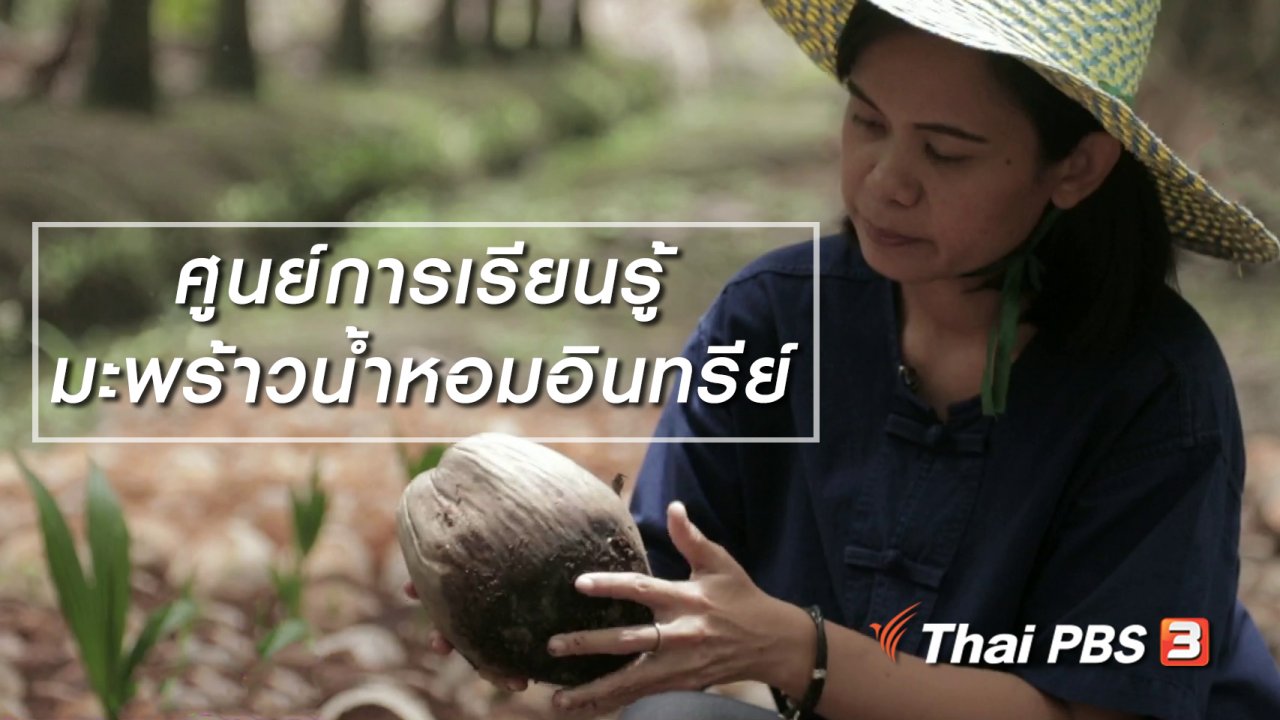 นารีกระจ่าง - ผู้หญิงผู้สร้าง : ศูนย์การเรียนรู้มะพร้าวน้ำหอมอินทรีย์