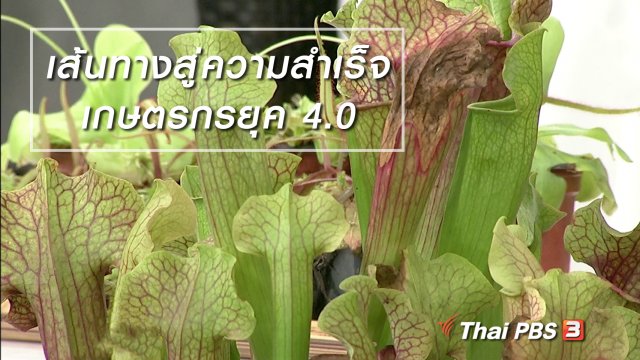 นารีสนทนา : เส้นทางสู่ความสำเร็จ เกษตรกรยุค 4.0