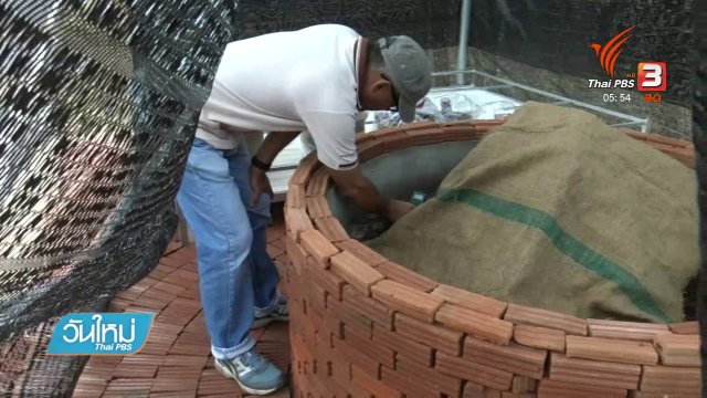 ฟื้นฟูตอต้นพระศรีมหาโพธิ์