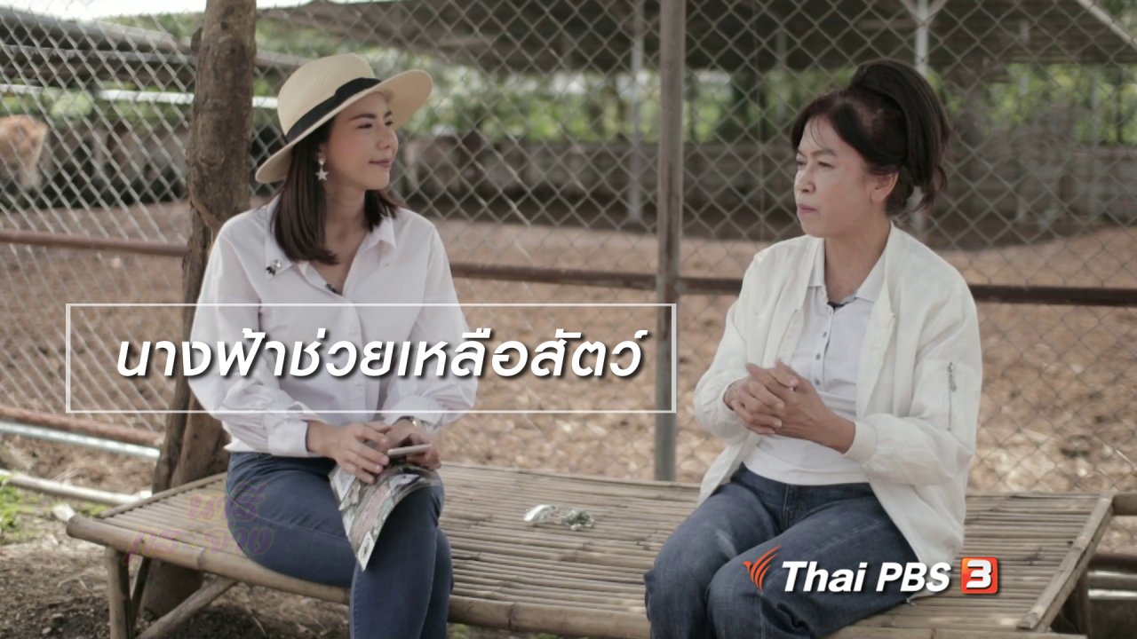 นารีกระจ่าง - ผู้หญิงผู้สร้าง : นางฟ้าช่วยเหลือสัตว์