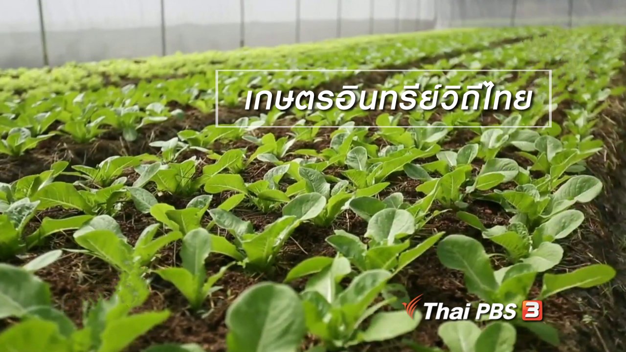 นารีกระจ่าง - ผู้หญิงผู้สร้าง : เกษตรอินทรีย์วิถีไทย