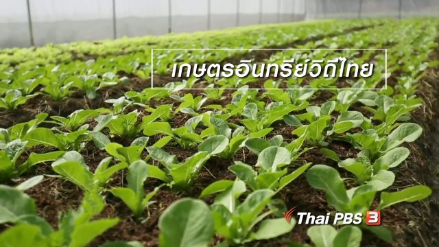 ผู้หญิงผู้สร้าง : เกษตรอินทรีย์วิถีไทย