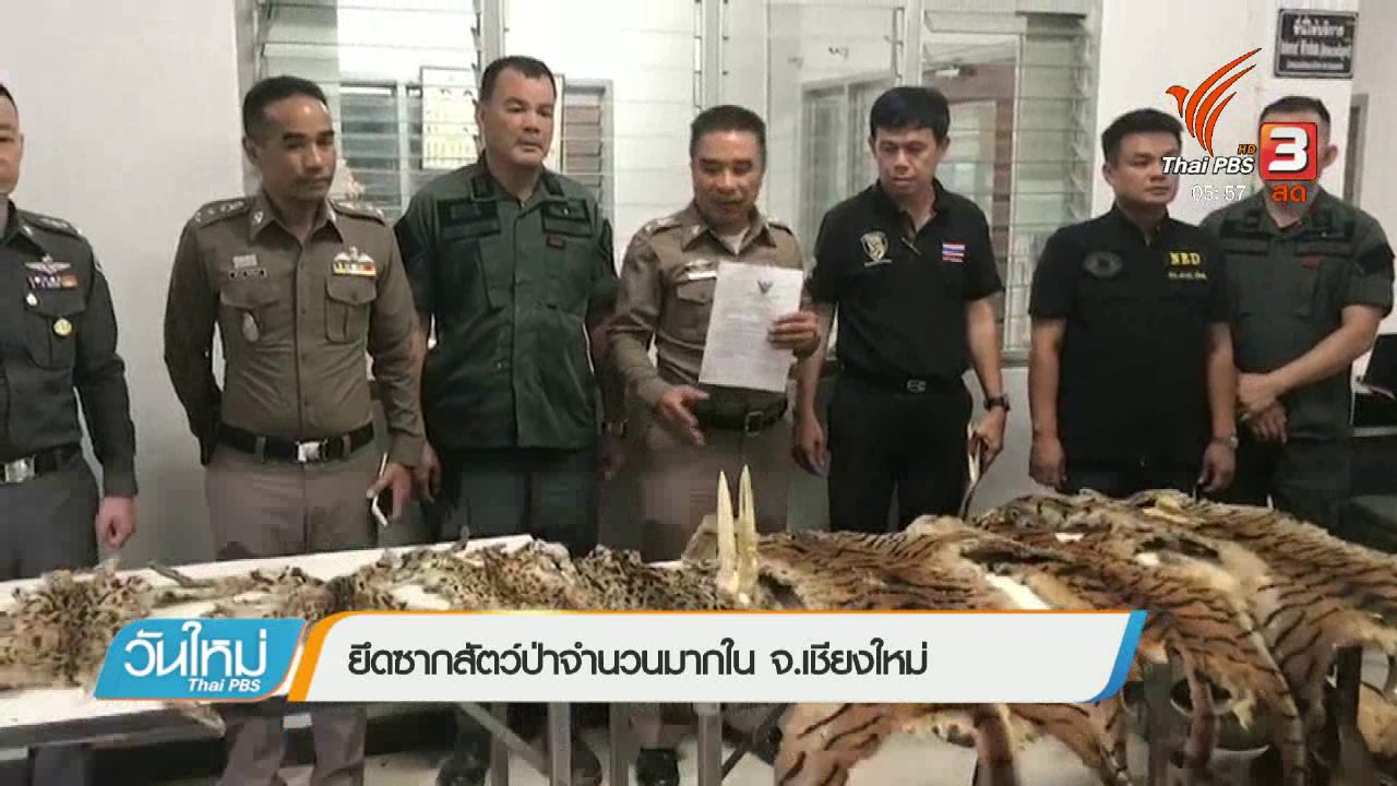 วันใหม่ ไทยพีบีเอส - ยึดซากสัตว์ป่าจำนวนมากใน จ.เชียงใหม่