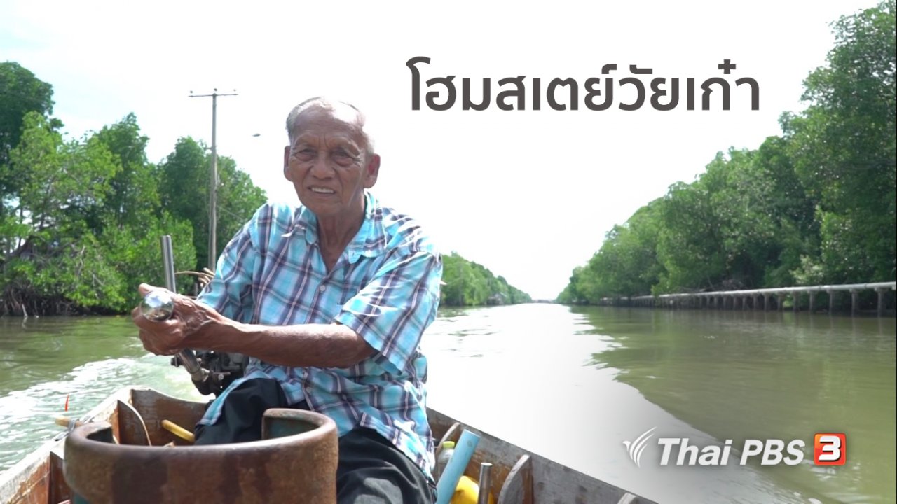 ลุยไม่รู้โรย - สูงวัยไทยแลนด์ : โฮมสเตย์วัยเก๋า
